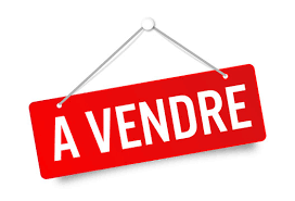 Lire la suite à propos de l’article Mise en vente presbytère de Selincourt